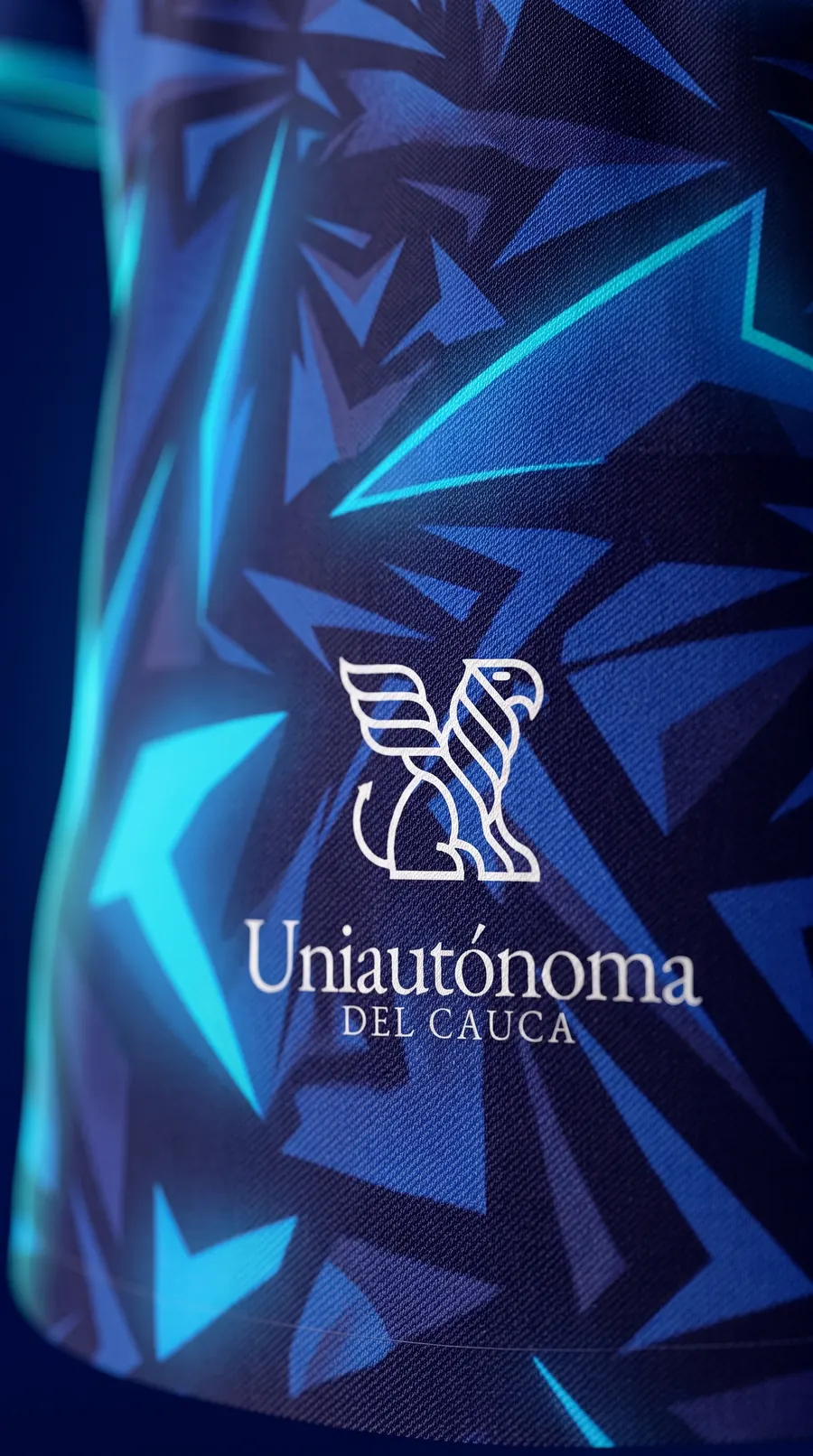 Detalle del logo Uniautónoma del Cauca