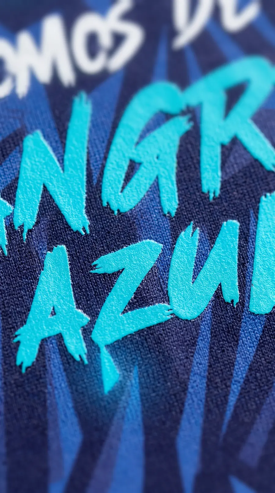 Detalle del texto Somos de sangre azul